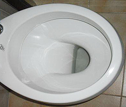 NARROW toilet seat with MEASURES less than 35 cm in WIDTH