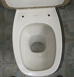 TOILET SEATS for OLD MODELS / SQUARED pots by POZZI GINORI: Square, Italica / Italo, Italo Duo