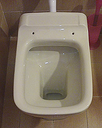 The CONCA model TOILET SEAT and its similars: Globo Clio, Ideal Standard Aero, Senesi Duccio, Catalano Polo, GSI Adda