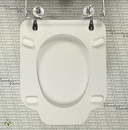 TOILET SEATS spare part for WC with OCTOGONAL / HEXAGONAL shape