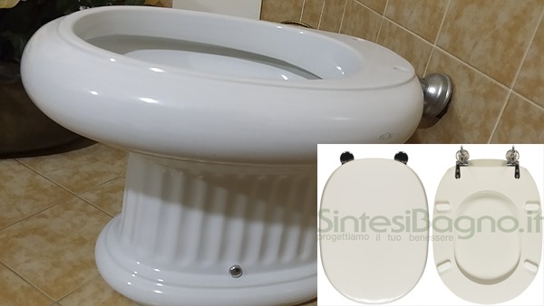 Strange shaped toilet seats with special sizes. Replacing a strange or unusual toilet seat!
