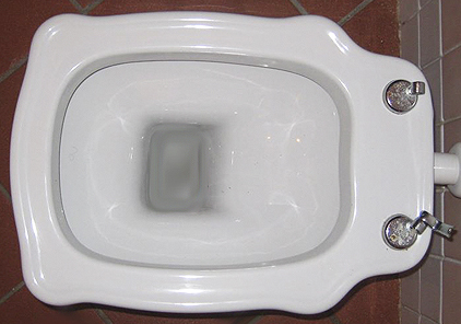 Toilet seat with STRANGE and PARTICULAR shapes: PALACE, GINEVRA, MOBY, SMILE