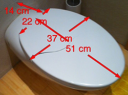 Copriwater per WC dalla forma di un ovale allungato: Spazio, Join, Ariete, Brenta, Fish, Sculture