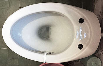 Sièges de WC en forme d'ovale allongé : Spazio, Join, Ariete, Brenta, Fish, Sculture