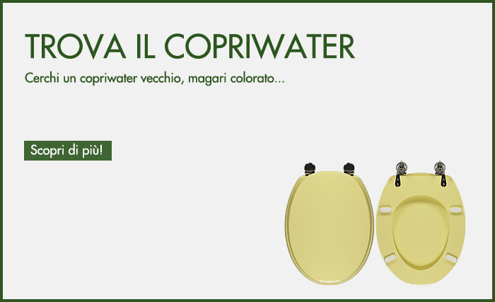 Posso misurare il WC e cercare un copriwater compatibile in autonomia?