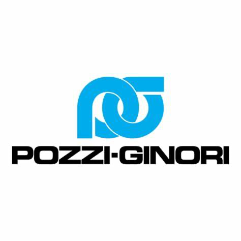 Pozzi Ginori: storia, evoluzione e identità attuale